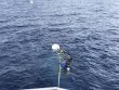 Tuesday June 19th 2018 Tropical Destiny: USCGC Duane reef report photo 2