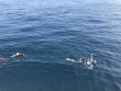 Saturday June 23rd 2018 Tropical Destiny: USCGC Duane reef report photo 1