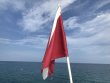 Saturday June 23rd 2018 Tropical Destiny: Pickle Barrel Wreck reef report photo 1
