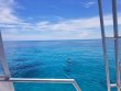 Sunday July 15th 2018 Tropical Destiny: North Dry Rocks reef report photo 1