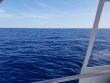 Sunday September 9th 2018 Tropical Destiny: USCGC Duane reef report photo 1