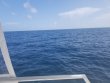 Tuesday September 25th 2018 Tropical Destiny: Conch Wall reef report photo 1