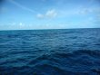 Tuesday November 6th 2018 Tropical Destiny: Benwood Wreck reef report photo 1