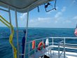 Sunday February 17th 2019 Tropical Destiny: Drift Molasses reef report photo 1