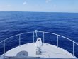 Tuesday June 4th 2019 Tropical Destiny: USCGC Duane reef report photo 1