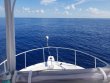 Sunday July 28th 2019 Tropical Destiny: USCGC Duane reef report photo 1