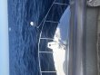 Thursday November 28th 2019 Tropical Destiny: USCGC Duane reef report photo 1