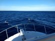 Thursday December 5th 2019 Tropical Destiny: USCGC Duane reef report photo 1
