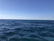 Saturday December 7th 2019 Tropical Destiny: USCGC Duane reef report photo 1