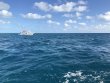 Monday December 9th 2019 Tropical Destiny: USCGC Duane reef report photo 1
