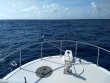 Saturday May 30th 2020 Tropical Destiny: Spiegel Grove reef report photo 1