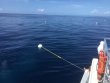 Friday July 3rd 2020 Tropical Destiny: Spiegel Grove reef report photo 1