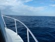 Monday December 21st 2020 Tropical Explorer: Drift Molasses reef report photo 1