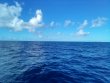 Sunday December 12th 2021 Tropical Explorer: Drift French reef report photo 1