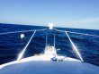 Monday March 30th 2015 Tropical Explorer: USCGC Duane reef report photo 1