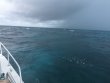 Wednesday December 2nd 2015 Tropical Explorer: USCGC Duane reef report photo 1