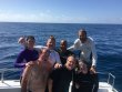 Friday July 8th 2016 Tropical Explorer: Spiegel Grove reef report photo 1