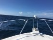 Sunday July 10th 2016 Tropical Explorer: Spiegel Grove reef report photo 1