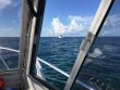 Friday September 30th 2016 Tropical Explorer: North Star reef report photo 1