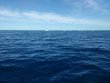 Thursday January 5th 2017 Tropical Explorer: Drift Molasses reef report photo 1