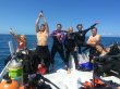 Thursday May 4th 2017 Tropical Explorer: Spiegel Grove reef report photo 1
