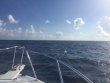 Thursday February 8th 2018 Tropical Explorer: Spiegel Grove reef report photo 1