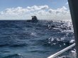 Tuesday April 3rd 2018 Tropical Explorer: Molasses Reef reef report photo 1