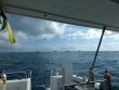 Tuesday April 10th 2018 Tropical Explorer: Spiegel Grove reef report photo 1