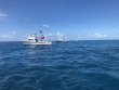 Sunday August 19th 2018 Tropical Explorer: Drift French reef report photo 1