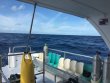 Thursday December 13th 2018 Tropical Explorer: Spiegel Grove reef report photo 1