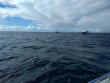 Saturday February 9th 2019 Tropical Explorer: Drift Molasses reef report photo 1