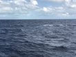Monday November 2nd 2020 Tropical Legend: USCGC Duane reef report photo 1