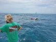 Monday July 12th 2021 Tropical Legend: Eagle Ray Alley reef report photo 1