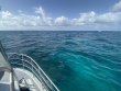 Tuesday July 19th 2022 Tropical Legend: North Star reef report photo 2