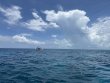 Monday June 26th 2023 Tropical Legend: Student/Classes Trip reef report photo 1