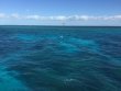 Sunday April 10th 2016 Tropical Legend: Eagle Ray Alley reef report photo 1