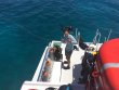 Sunday April 24th 2016 Tropical Legend: Snapper Ledge reef report photo 1
