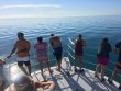 Sunday August 21st 2016 Tropical Legend: Benwood Wreck reef report photo 1