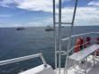 Sunday September 11th 2016 Tropical Legend: North Star reef report photo 1