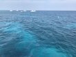 Saturday February 18th 2017 Tropical Legend: Molasses Reef reef report photo 1