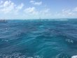 Monday April 3rd 2017 Tropical Legend: Molasses Reef reef report photo 1