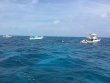 Wednesday April 5th 2017 Tropical Legend: Molasses Reef reef report photo 1