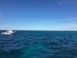 Saturday April 8th 2017 Tropical Legend: Molasses Reef reef report photo 1
