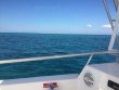 Friday December 22nd 2017 Tropical Legend: Pickles Reef reef report photo 1