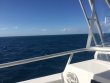 Sunday March 4th 2018 Tropical Legend: Drift French reef report photo 1