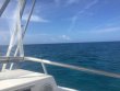 Monday April 23rd 2018 Tropical Legend: Molasses Reef reef report photo 1