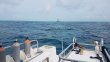 Thursday May 24th 2018 Tropical Legend: North Star reef report photo 1