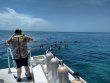 Sunday July 1st 2018 Tropical Legend: Benwood Wreck reef report photo 1