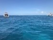 Monday June 3rd 2019 Tropical Legend: Drift Molasses reef report photo 1