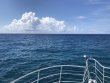 Wednesday June 5th 2019 Tropical Legend: Drift Molasses reef report photo 1
